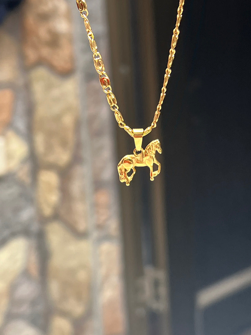 Set Cadena Clip + Dije